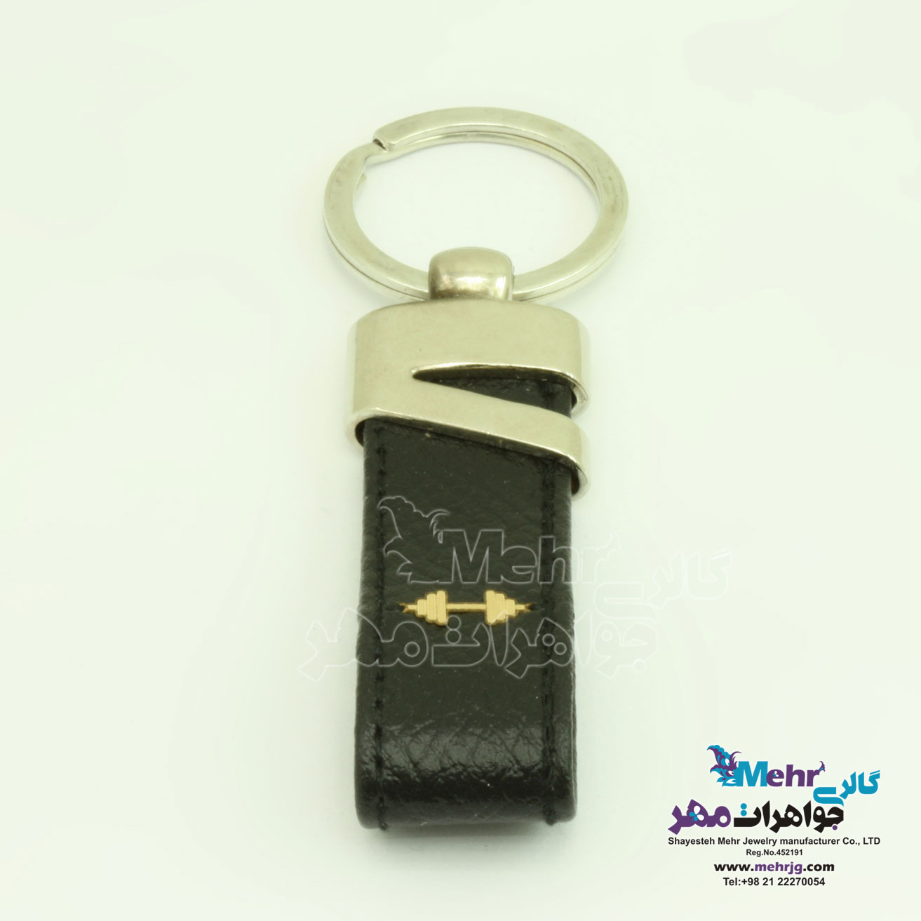 جاسوئیچی طلا - طرح دمبل