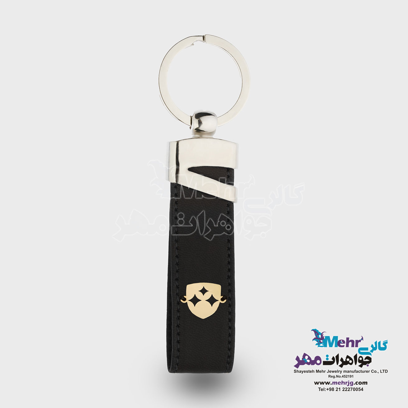 جاسوئیچی طلا - طرح FMC