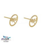 نیم ست طلا - آویز و گوشواره - طرح پرنده و شاخه