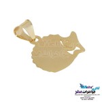 نیم ست طلا - آویز و گوشواره - طرح جوجه تیغی