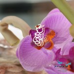 آویز طلا - طرح زن زندگی آزادی